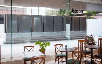 Bloom – Unternehmenspläne lassen ein großes Potential erkennen