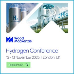 Navigating the Challenges of Scaling Up the Low-Carbon Hydrogen Economy