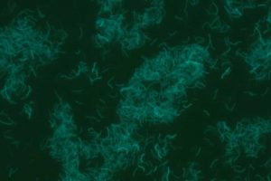 Mikrobielles Biomethan auf dem Weg zur Industriereife